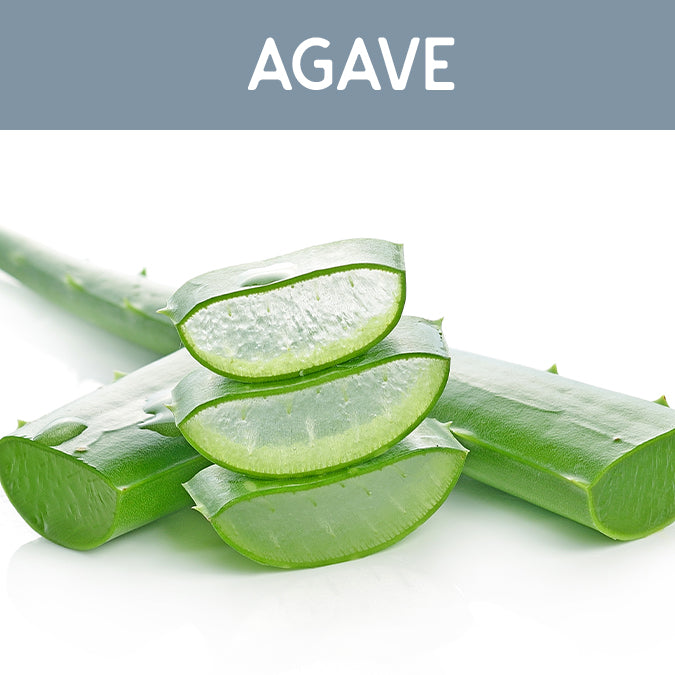 Agave Fragrance Oil