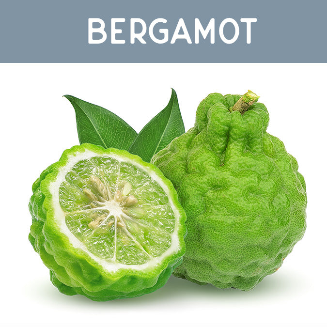 Bergamot Fragrance Oil