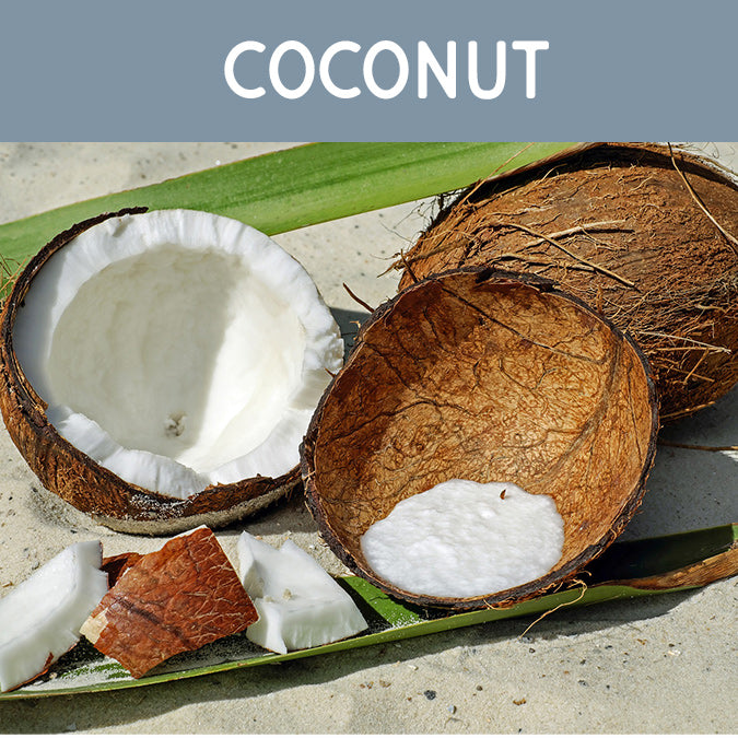 Coconut Fragrance Oil