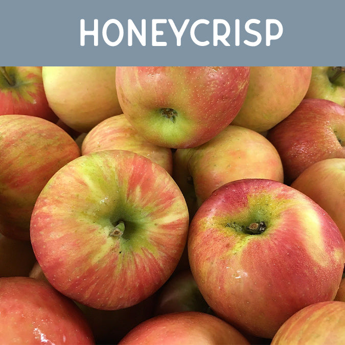 Honeycrisp Fragrance Oil