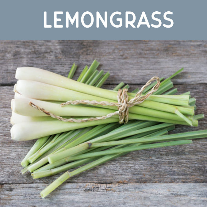 Lemongrass Fragrance Oil