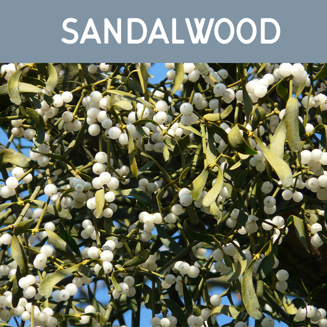 Sandalwood Fragrance Oil