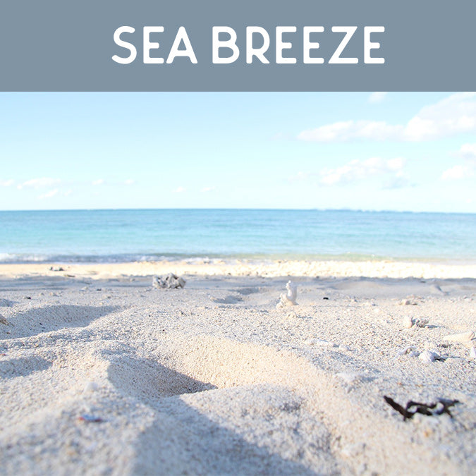 Sea Breeze Fragrance Oil