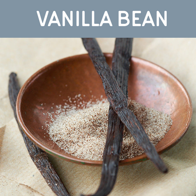 Vanilla Bean Fragrance Oil
