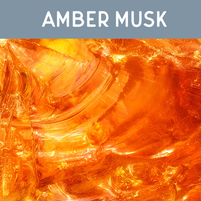 Amber Musk Fragrance Oil – Auburn Candle Supply