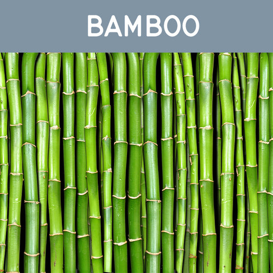 Bamboo Fragrance Oil
