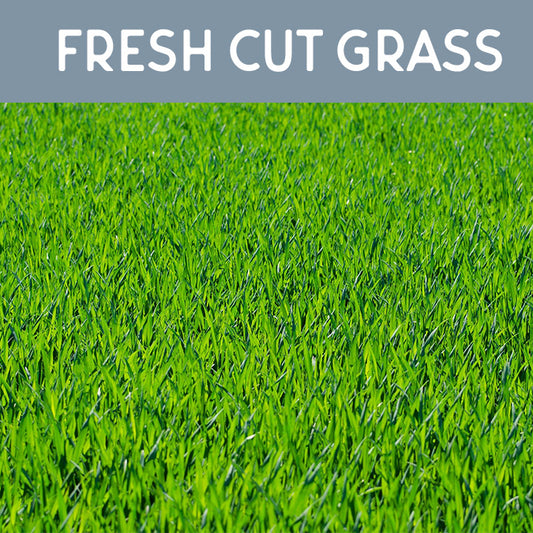 Fresh Cut Grass Fragrance Oil