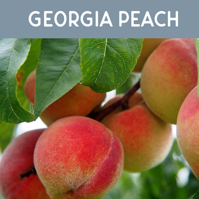 Georgia Peach Fragrance Oil