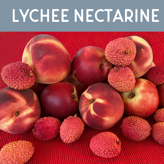 Lychee Nectarine Fragrance Oil