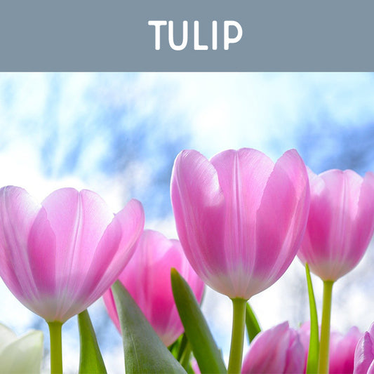 Tulip Fragrance Oil