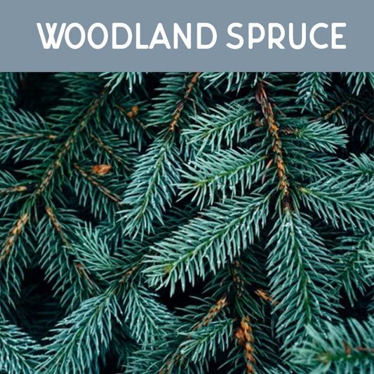 Woodland Spruce Fragrance Oil